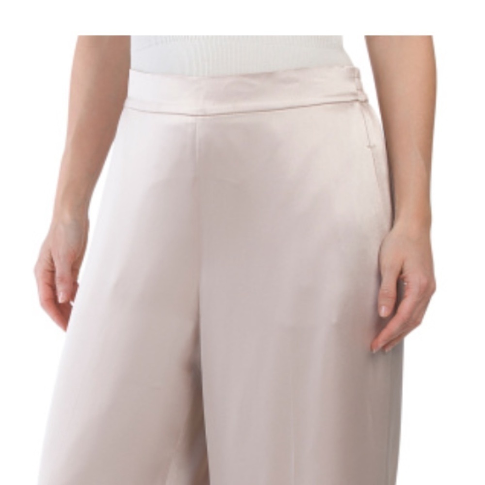 NWT ELLE TAHARI Ashlynn CHAMPAGNE SILKY Pants Size US XL - Picture 3 of 4